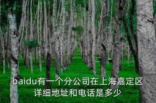 baidu有一個(gè)分公司在上海嘉定區(qū)詳細(xì)地址和電話是多少