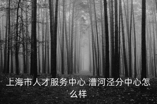 上海市人才服務中心 漕河涇分中心怎么樣