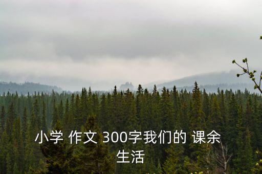 小學 作文 300字我們的 課余 生活