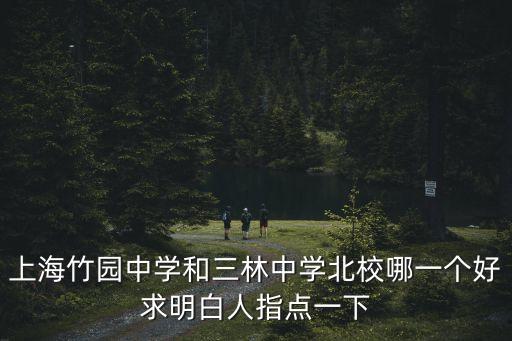上海竹園中學和三林中學北校哪一個好求明白人指點一下