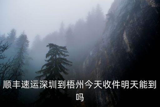 深圳順風車回廣西梧州，順豐速運深圳到梧州今天收件明天能到嗎