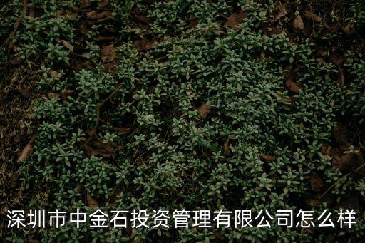 深圳市中金石投資管理有限公司怎么樣