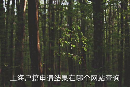 上海戶籍申請結果在哪個網站查詢