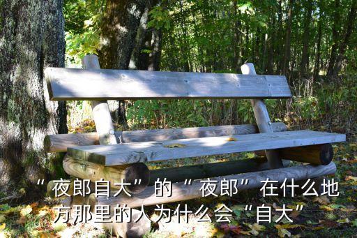 貴州夜郎,貴州夜郎國在哪里?