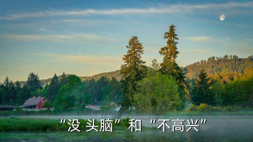 沒頭腦和不高興