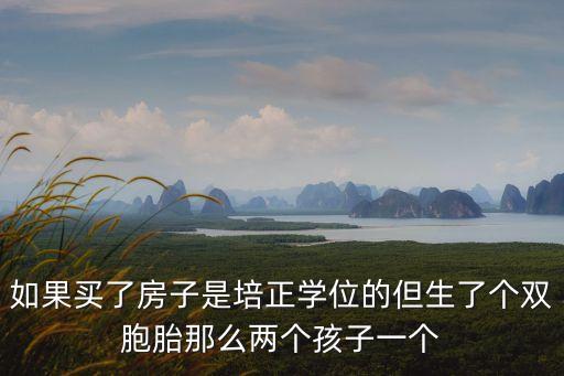 深圳學(xué)位房鎖定二胎，如果買了房子是培正學(xué)位的但生了個雙胞胎那么兩個孩子一個