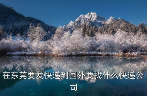 在東莞要發(fā)快遞到國外要找什么快遞公司