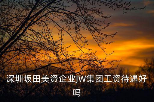深圳坂田美資企業JW集團工資待遇好嗎