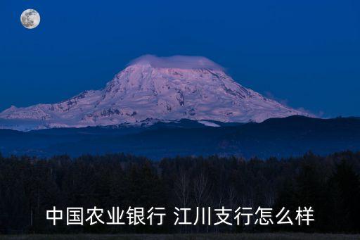 中國農業銀行 江川支行怎么樣