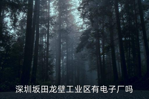 深圳坂田龍壁工業區有電子廠嗎