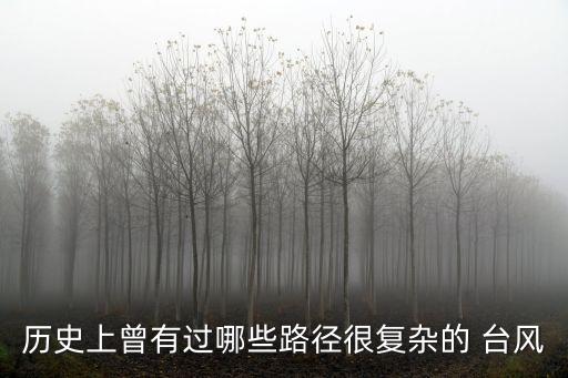 歷史上曾有過哪些路徑很復(fù)雜的 臺(tái)風(fēng)