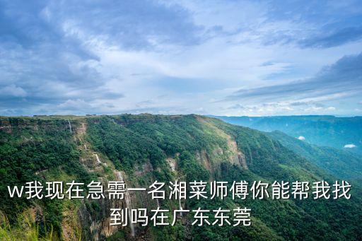 東莞橫瀝招請湘菜廚師，w我現在急需一名湘菜師傅你能幫我找到嗎在廣東東莞