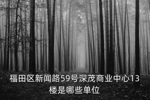 深圳東方招標公司，福田區新聞路59號深茂商業中心13樓是哪些單位