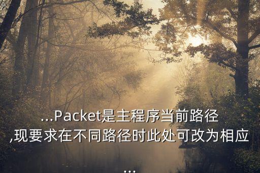 ...Packet是主程序當前路徑,現(xiàn)要求在不同路徑時此處可改為相應...