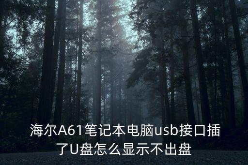  海爾A61筆記本電腦usb接口插了U盤怎么顯示不出盤