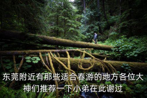 東莞附近有那些適合春游的地方各位大神們推薦一下小弟在此謝過