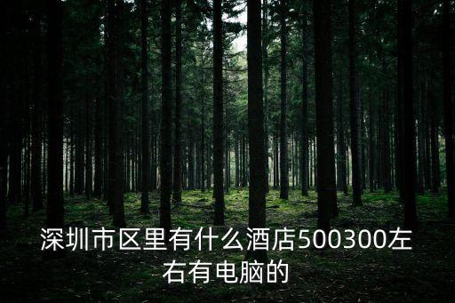 深圳市區里有什么酒店500300左右有電腦的