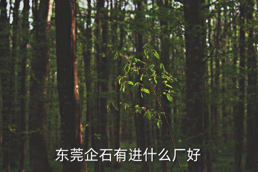 東莞企石有進什么廠好