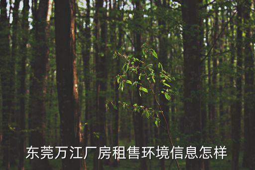 東莞工廠房租新聞，東莞萬江廠房租售環(huán)境信息怎樣
