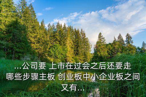 ...公司要 上市在過會之后還要走哪些步驟主板 創業板中小企業板之間又有...