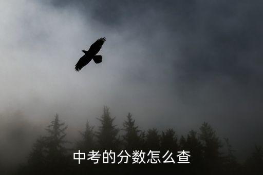 深圳深圳中考成績查詢2017，求解中考成績查詢步驟