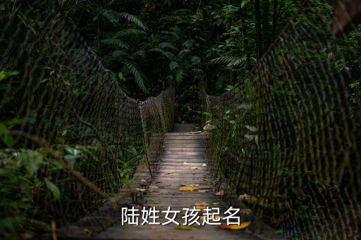 陸姓女孩起名