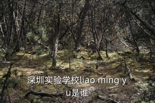 深圳實驗學校liao ming yu是誰