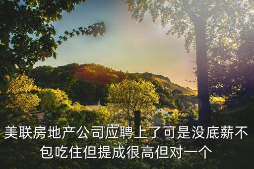 深圳美聯房地產，在深圳美聯物業做置業顧問怎么樣