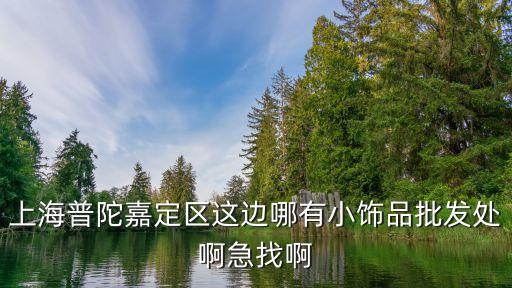 上海市普陀抱枕批發，上海普陀區哪里賣zppo