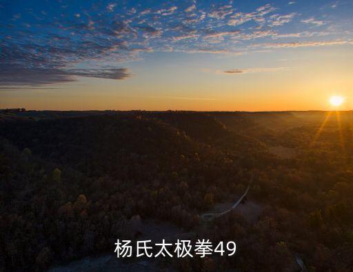 楊氏太極拳49