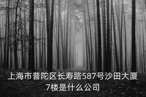 上海市普陀區(qū)長壽路587號沙田大廈7樓是什么公司