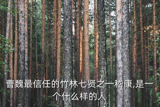曹魏最信任的竹林七賢之一嵇康,是一個什么樣的人