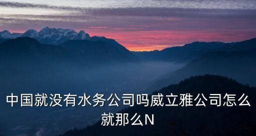 深圳水務集團法國，中國就沒有水務公司嗎威立雅公司怎么就那么N