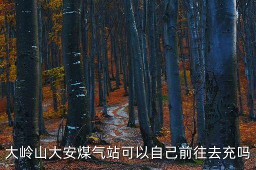 大嶺山大安煤氣站可以自己前往去充嗎