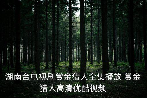 湖南臺(tái)電視劇賞金獵人全集播放 賞金獵人高清優(yōu)酷視頻