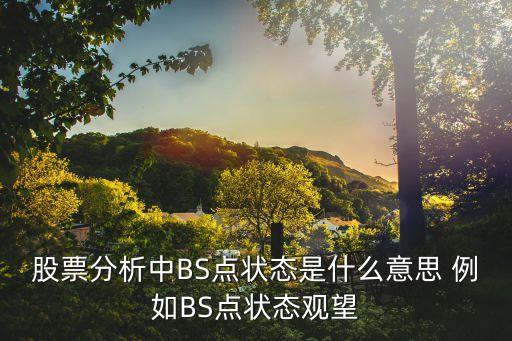 東莞證券設置bs點，股票分析中BS點狀態是什么意思 例如BS點狀態觀望
