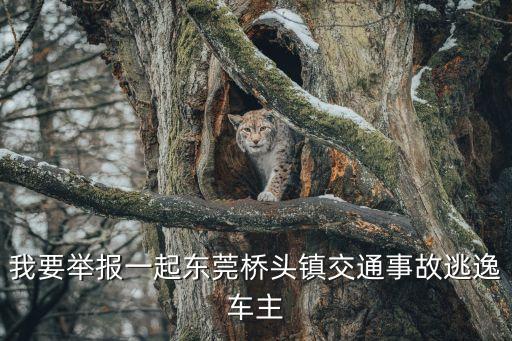 東莞橋頭地區車禍記錄，在4月20日東莞有交通事故嗎是一名高中女生被撞傷的事件誰能給