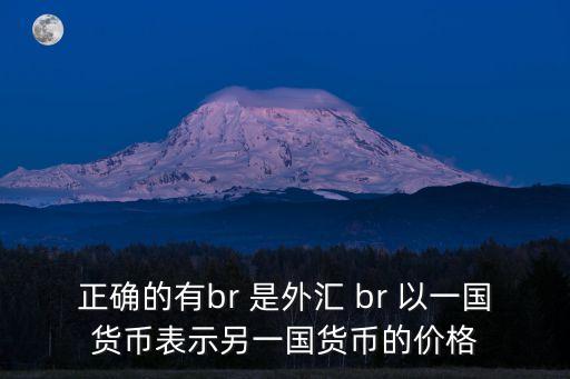 正確的有br 是外匯 br 以一國貨幣表示另一國貨幣的價格