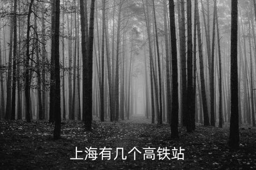 上海市高鐵數量統計，北京到上海一共多少列火車
