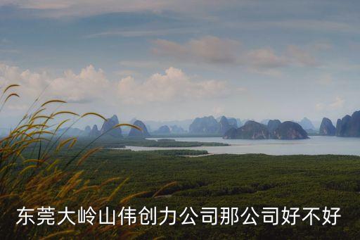 東莞大嶺山偉創力公司那公司好不好