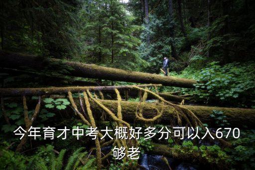 今年育才中考大概好多分可以入670夠老