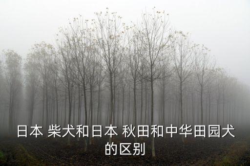 柴犬秋田犬區別,養柴犬的人都后悔了