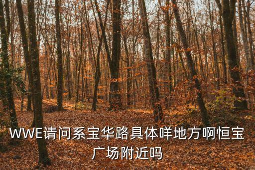 WWE請問系寶華路具體咩地方啊恒寶廣場附近嗎