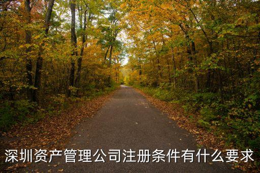 深圳嘉里資產管理有限公司，安穩盈小額信貸資產權益是什么