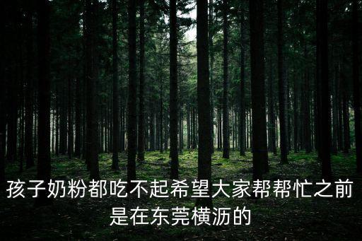 孩子奶粉都吃不起希望大家幫幫忙之前是在東莞橫瀝的