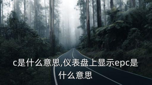 epc是什么意思,儀表盤上顯示epc是什么意思