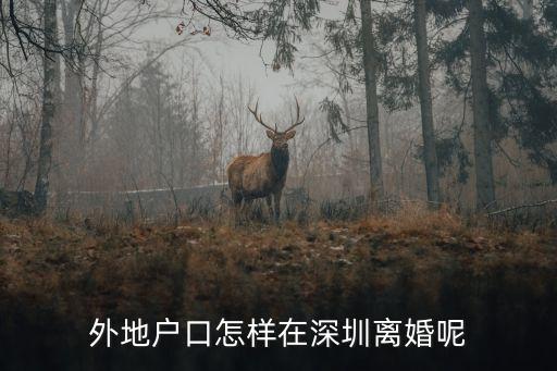 外地戶口怎樣在深圳離婚呢