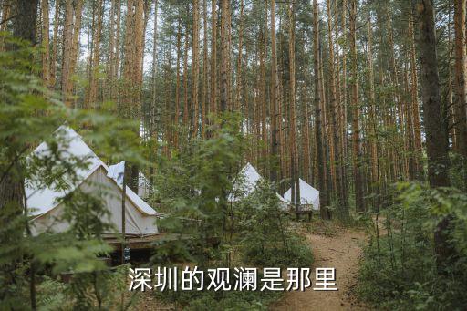 深圳的觀瀾是那里