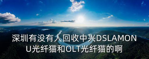 深圳有沒有人回收中興DSLAMONU光纖貓和OLT光纖貓的啊