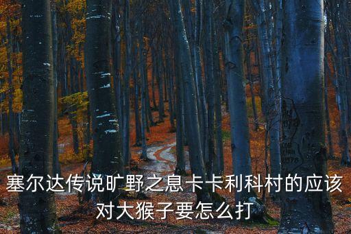 螢火蟲之光,塞爾達傳說螢火蟲之光